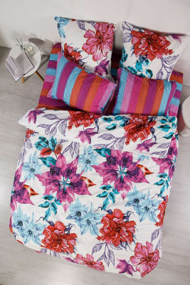 КПБ Френсис поплин 1.5 сп